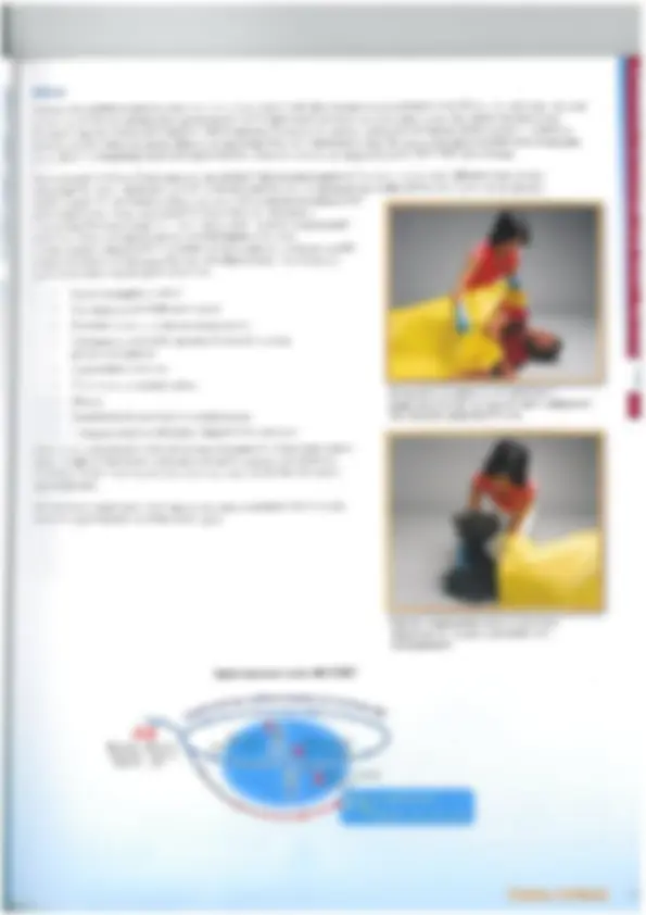 pf21