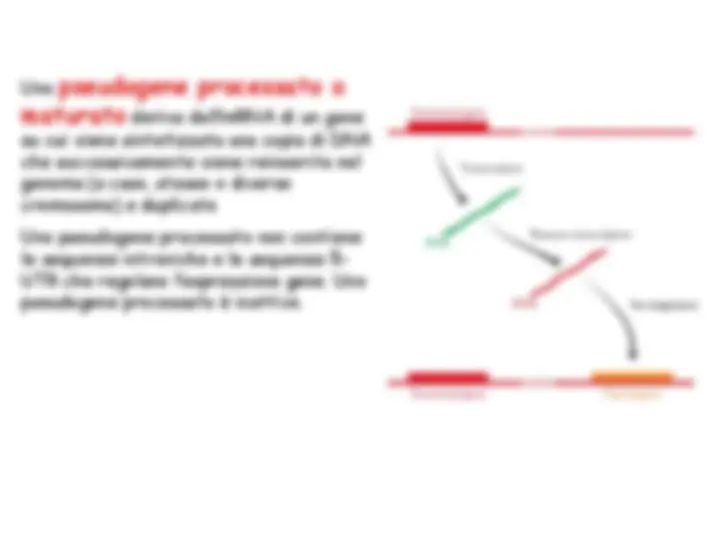 pf4d