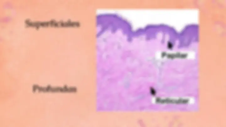 pf19