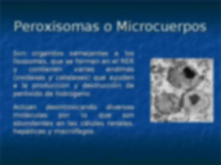 pf1b