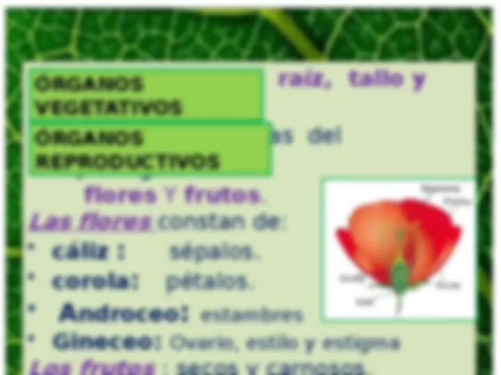 pf5