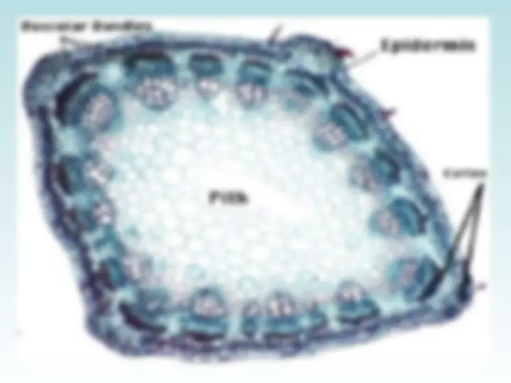 pf13
