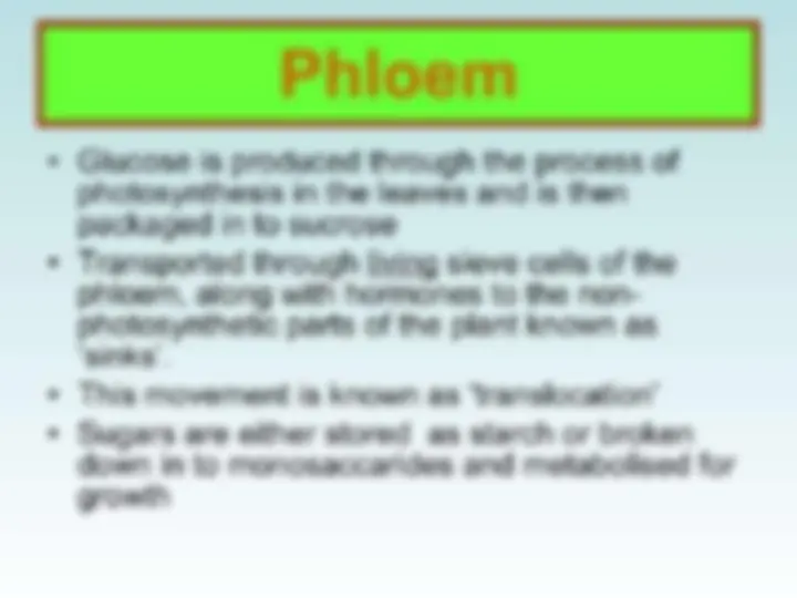 pf1a