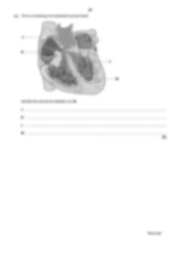 OCR A Level BIOLOGY A Paper 1/ 2/ 3 JUNE 2025 QUESTION PAPERS AND MARK ...