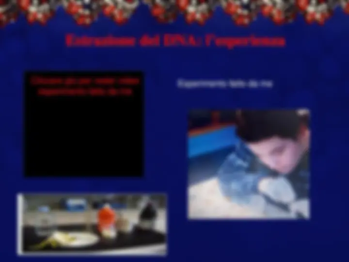 pf19