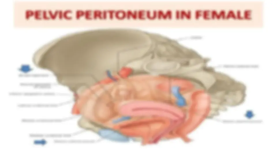 pf2c