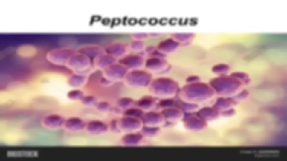 pf15