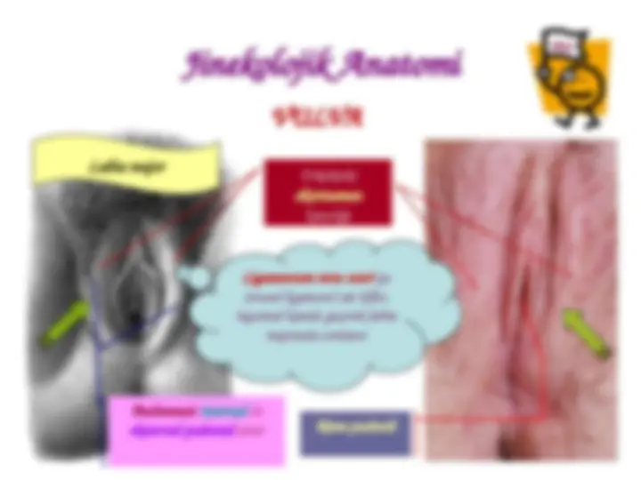 Әйелі шеңбердегі порно фото