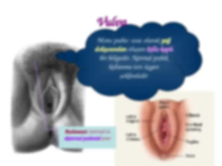 Әдемі жалаңаш әйел тврк билеп жатыр.