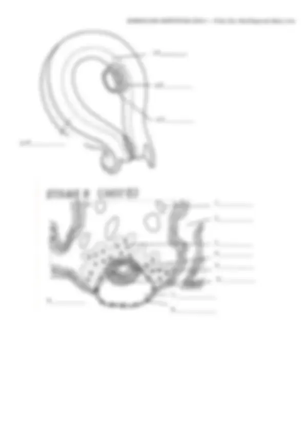 pf5