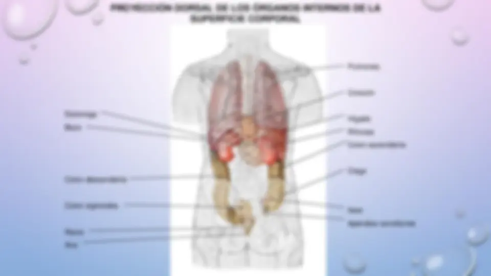 pfa