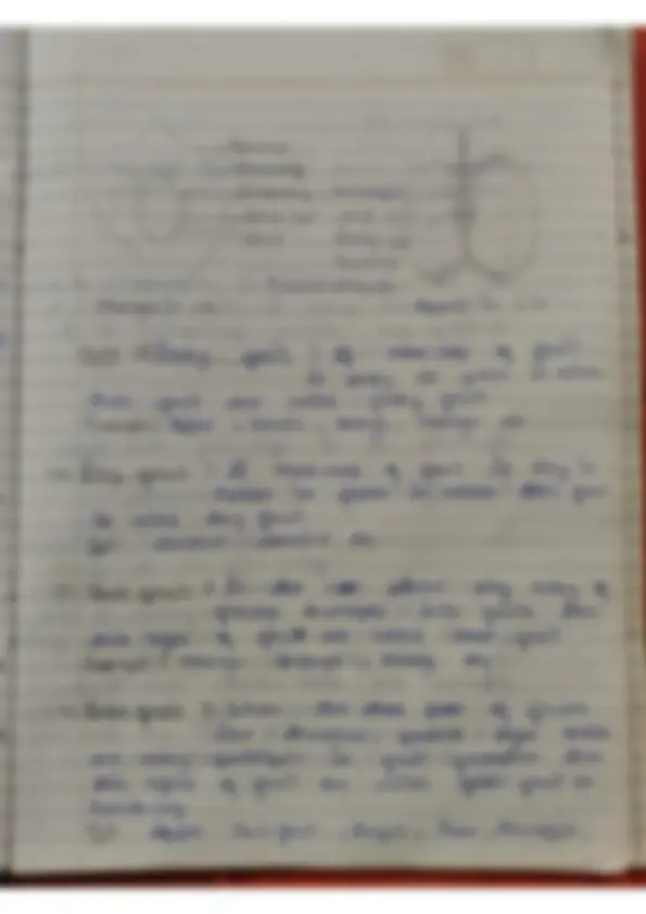 pf26