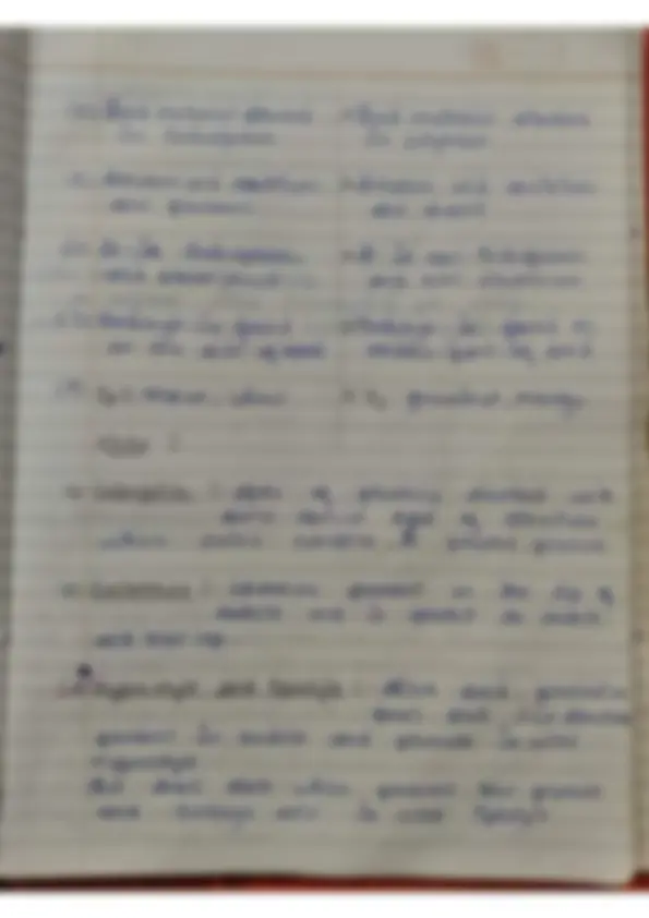 pf24