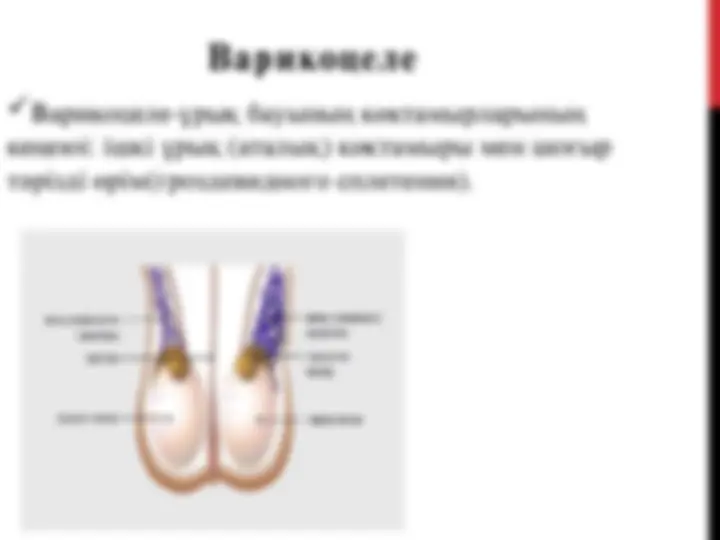 Жас қыздың алғашқы анальді секс