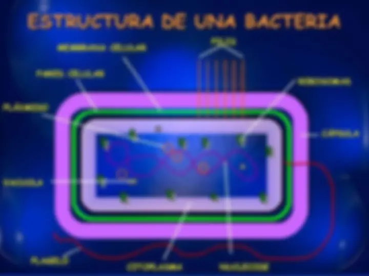 pfa
