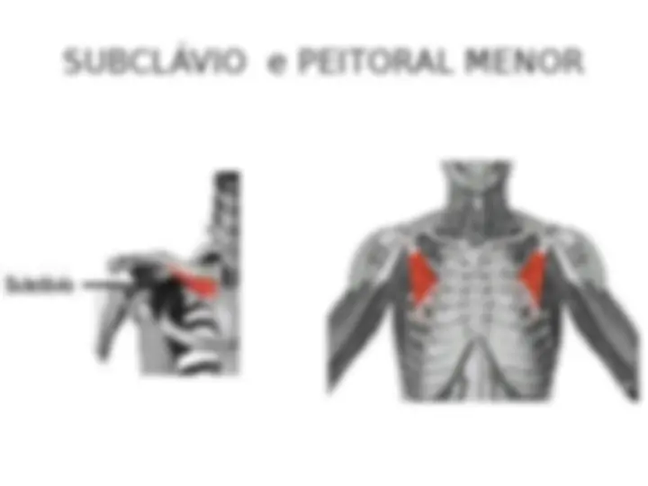 pfa