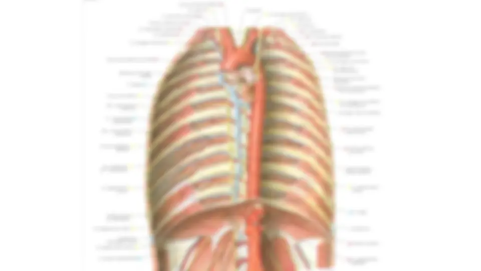 pf14