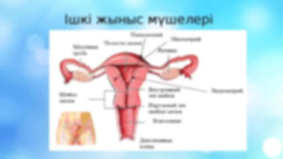 Әкесі ваннада секс
