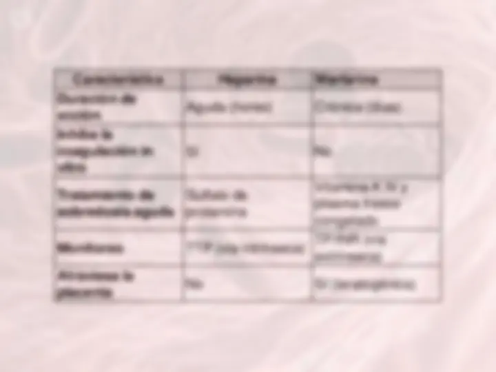 pf24