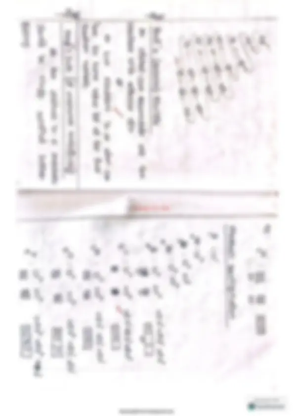 pf19