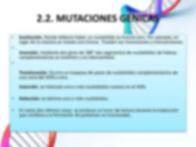 pf13