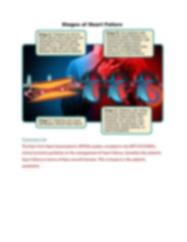 pf31