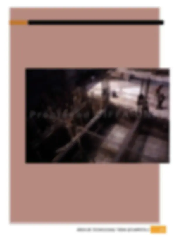 pf13