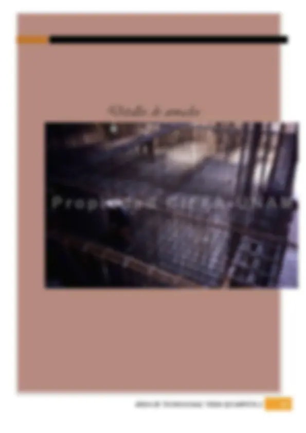 pf21