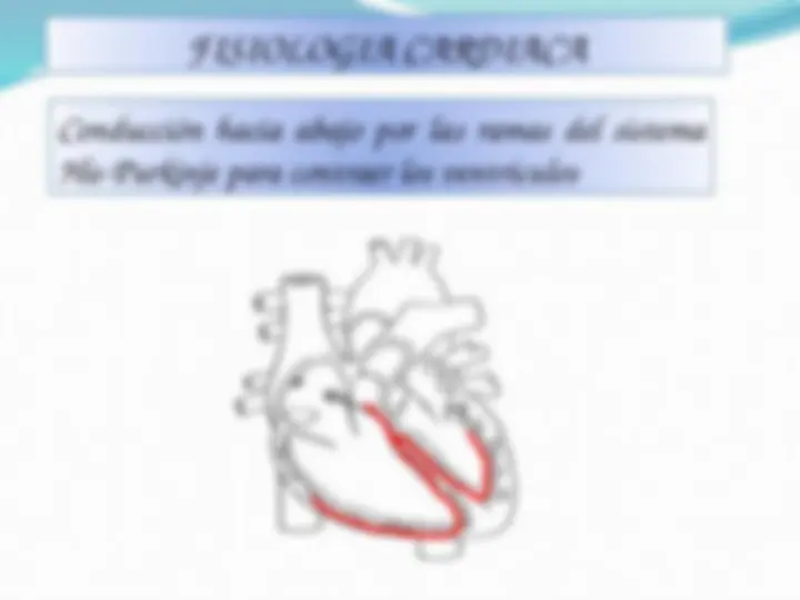 pf5