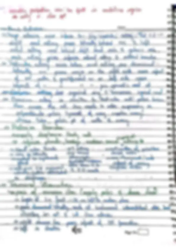 pf31