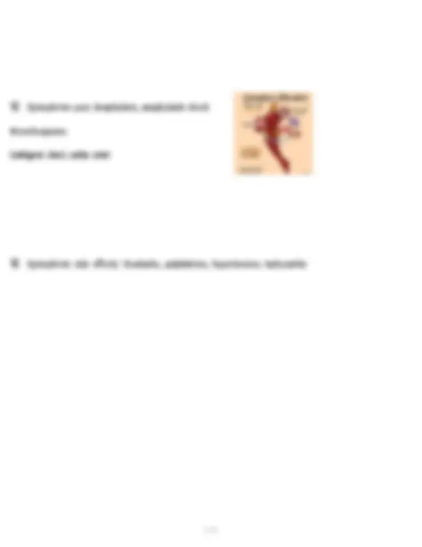 NACE Nursing Exam 1: Foundations of Nursing Final Exam Questions and ...