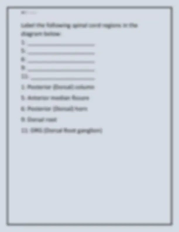 PORTAGE LEARNING ANATOMY & PHYSIOLOGY II — MODULE 2 EXAM 2025–2026 | A+ ...
