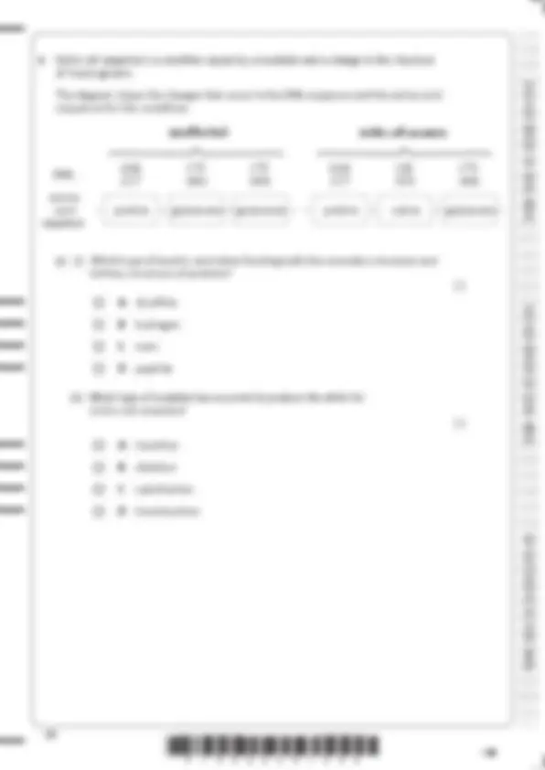 EDEXCEL A LEVEL BIOLOGY B (9BI0/02) QUESTION PAPER 2 AND MARK SCHEME ...