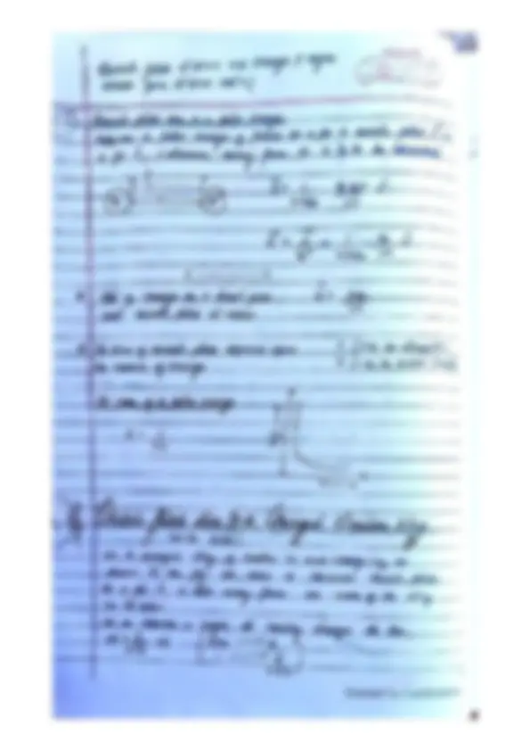 pf19