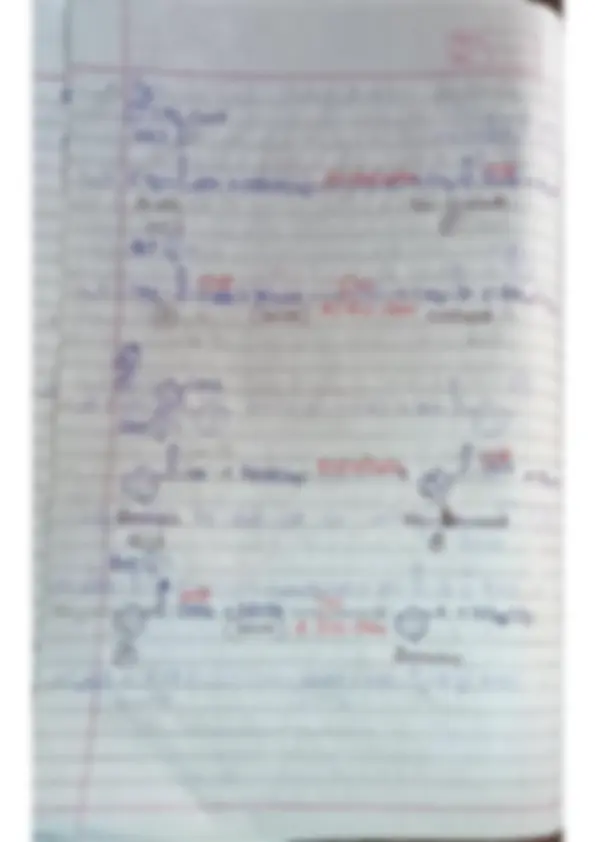 pf24