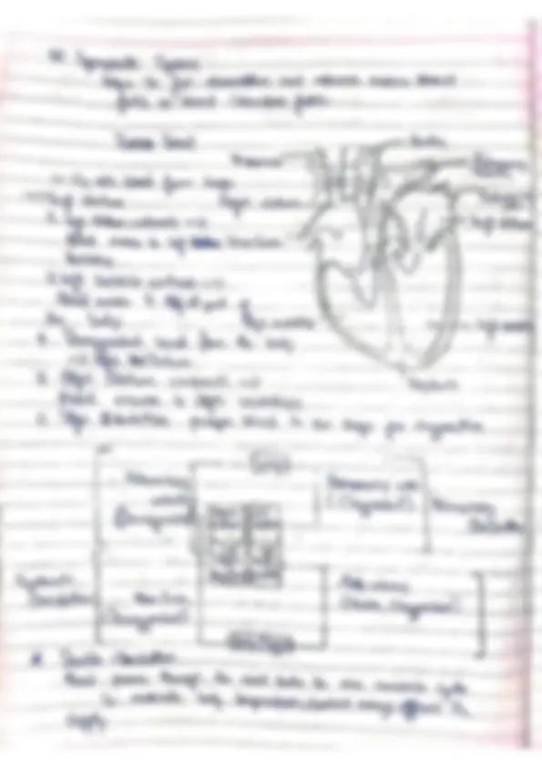 pf5