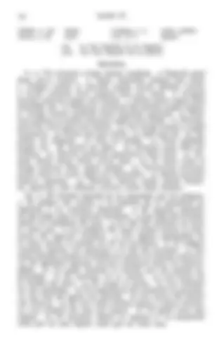 pf13