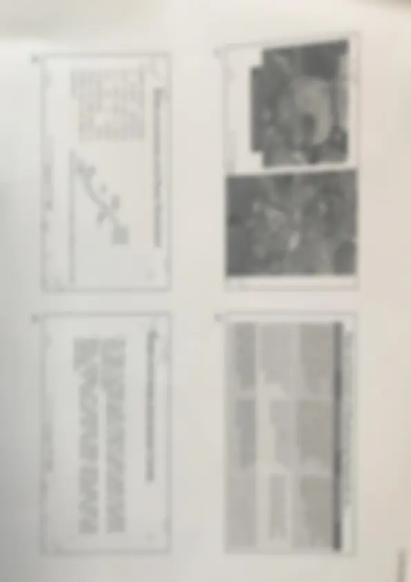 pf5