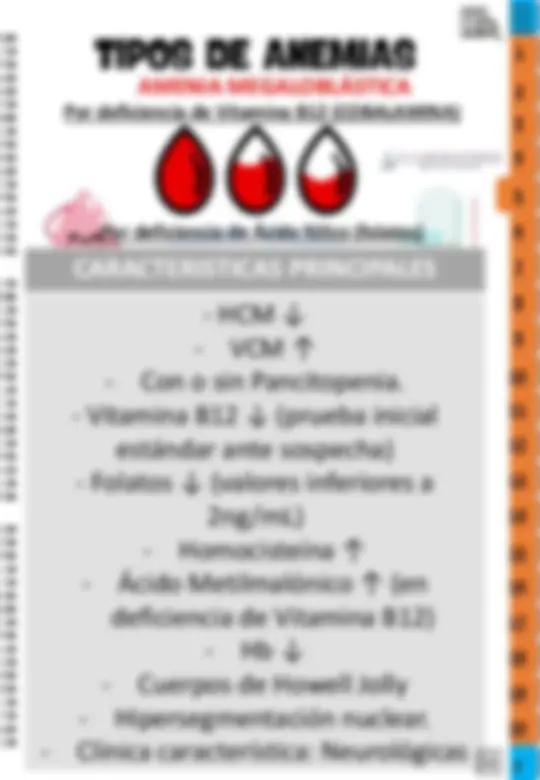 pf24