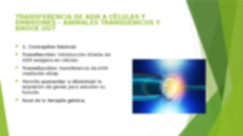 pf47
