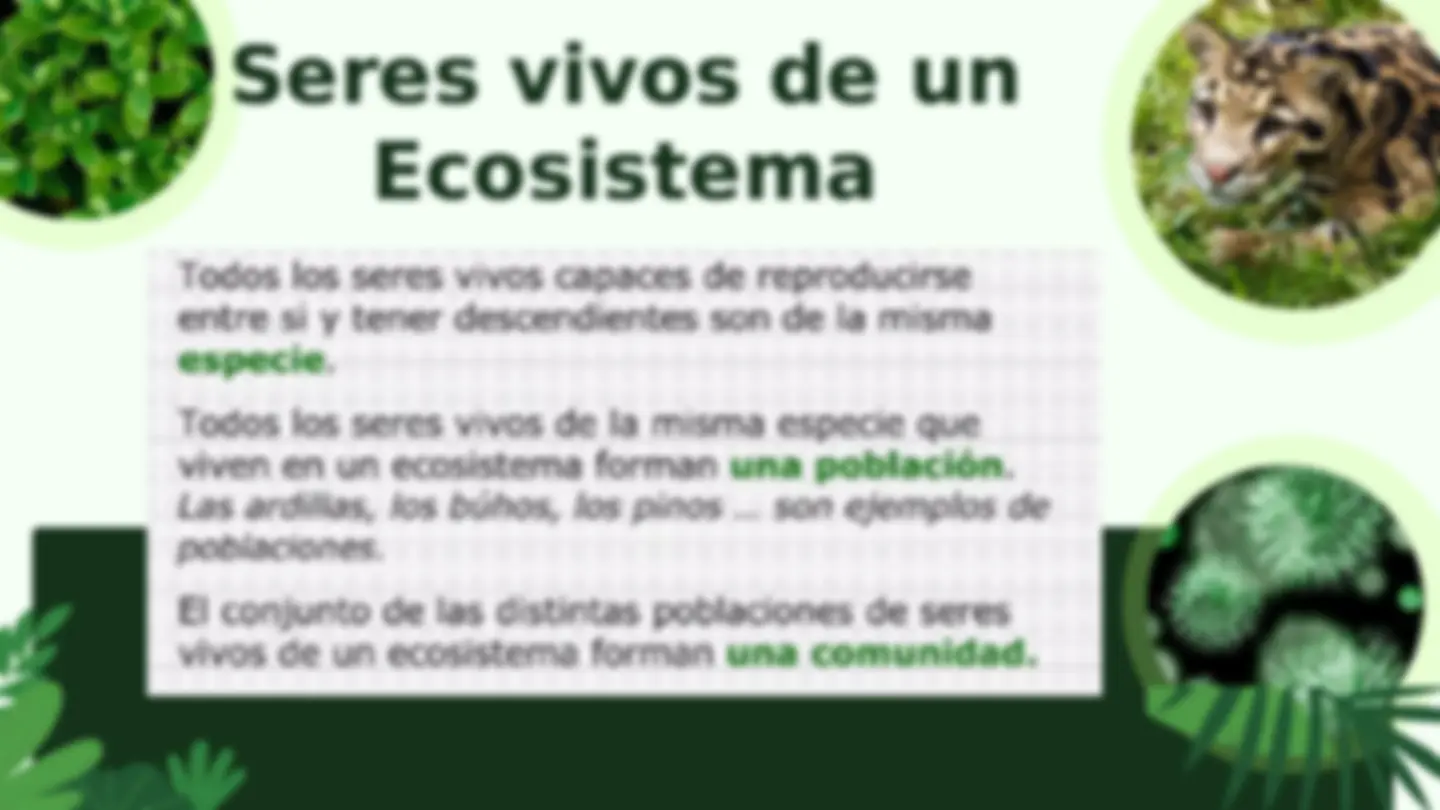 pf5