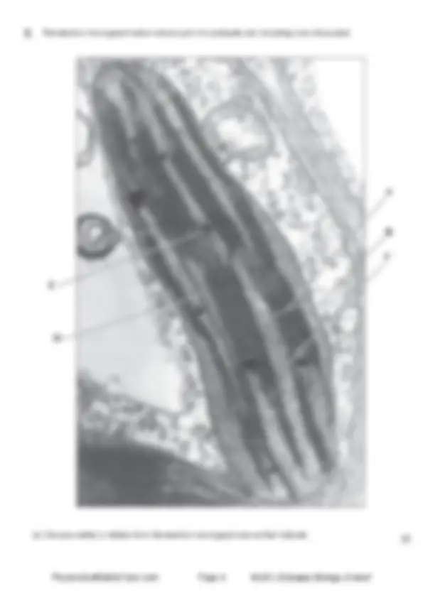 pf5