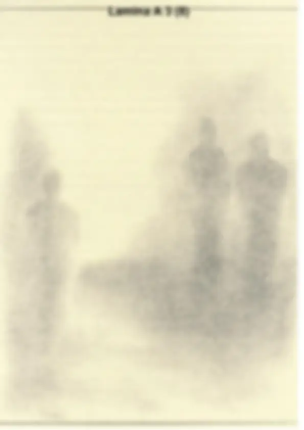 pf3
