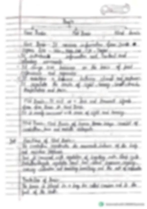 Class 10 Biology Chapter 2 – Control and Coordination (Complete Notes ...