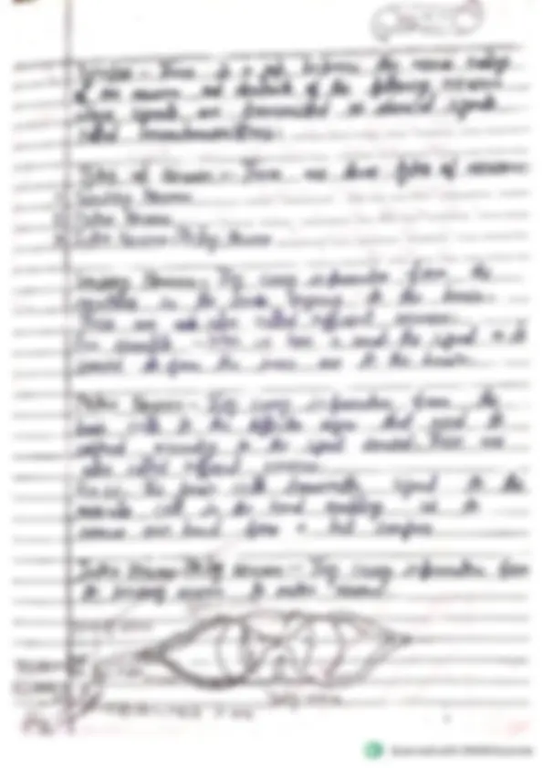 Class 10 Biology Chapter 2 – Control and Coordination (Complete Notes ...