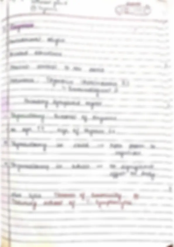 pf19