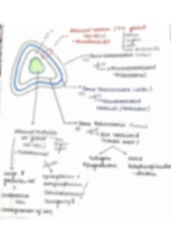 pf1b