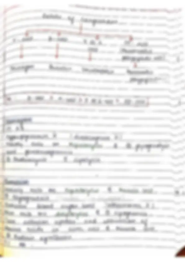pf1f