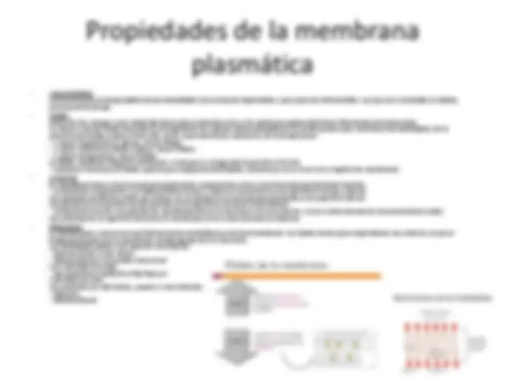 pf13