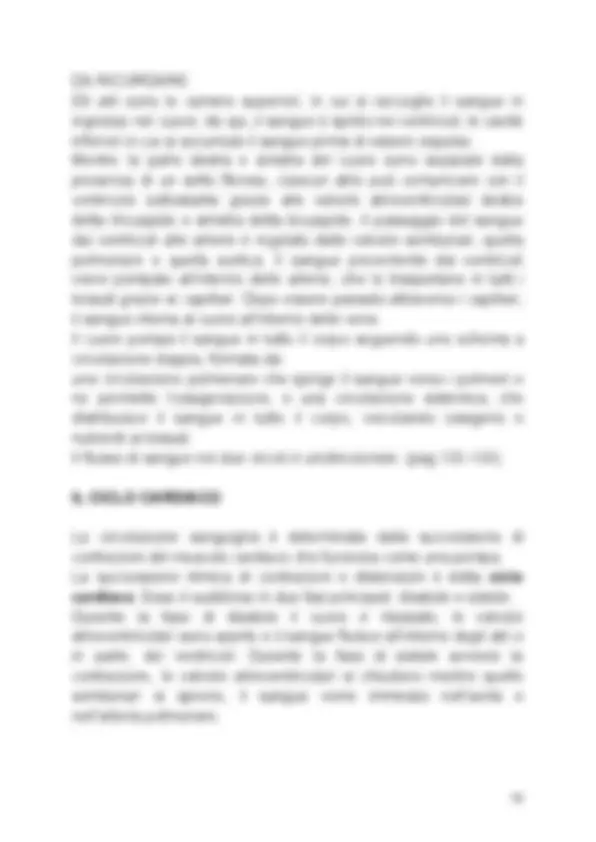 pf13
